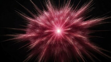 Wall Mural - pink light center radial explosion isolated in black b background
