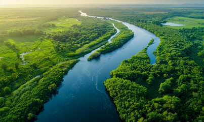 Wall Mural - A drone view of the river in the woods. An aerial view of an autumn forest. Winding river among the trees. Turquoise mountain water.