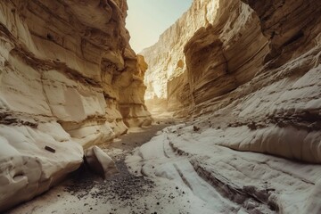 Poster - a narrow canyon in the desert