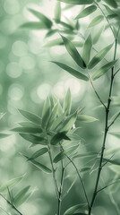 Aufkleber - Bamboo forest growing tall with lush green leaves
