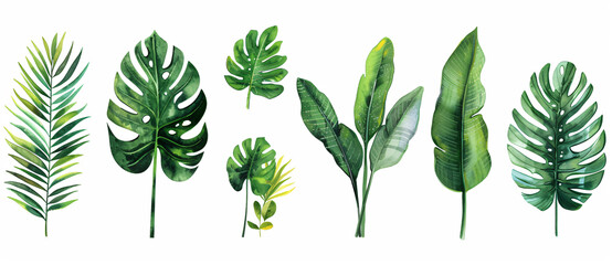Vibrant watercolor illustration of various tropical leaves in different shapes and sizes, white background, clip art style, flat design


