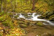 © Bob - Grear Smoky Mountains National Park, Tennessee - a small stream flowing through a hardwood  forest, roraring fork creek