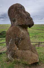 Moai Tukuturi (2)