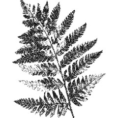 Fototapete - Fern with retro photocopy stipple effect, for grunge punk y2k collage design. Vector illustration in vintage halftone brutalist design for banner or poster