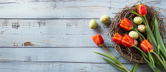 Fototapete - Easter-themed greeting card with tulips, eggs in nest, and rustic white wooden backdrop, ideal for Easter. Top-down view with available space for text or images. Copy space image