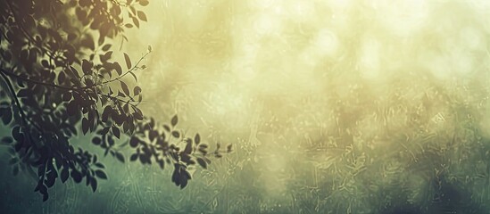 Leinwandbilder - Vintage background with blurred details, perfect for copy space image.