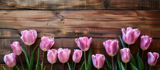 Poster - A charming display of pink tulips and a toy on a wooden backdrop offers an attractive copy space image.