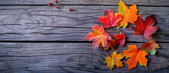 Poster - Autumn maple leaves in vibrant colors on a wooden backdrop with copy space image.