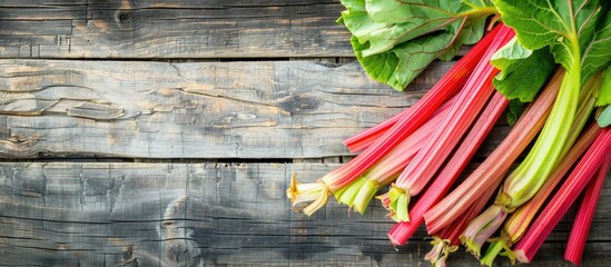 Poster - Freshly harvested organic rhubarb, perfect for recipes, with copy space image.