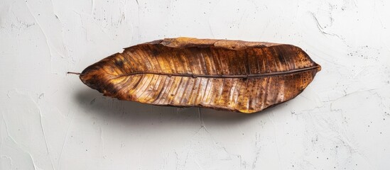 Poster - Top-down view of a dried organic banana leaf on a white surface, ideal for food concepts and featuring copy space image.
