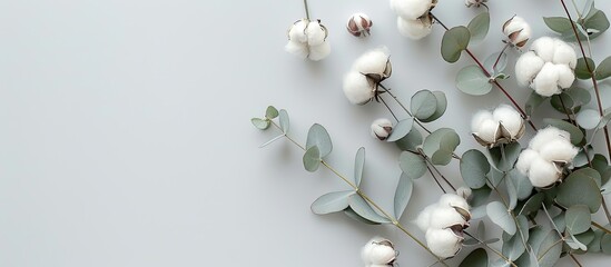 Sticker - Top view of delicate white cotton flowers and fresh eucalyptus twigs on a light gray background in a flat lay flowers composition with copy space image, ideal for a floral background or greeting card.