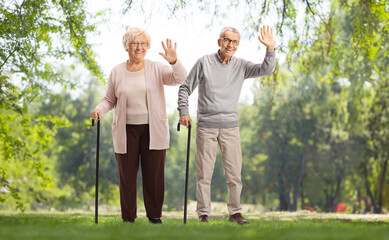 Wall Mural - Happy elderly couple with walking canes in a park