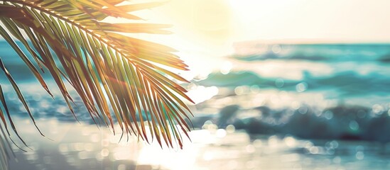 Poster - A palm leaf on a tropical beach, with blurred background of sunlight and waves, evokes a serene summer vacation or travel concept. Vintage filter adds charm to this copy space image.