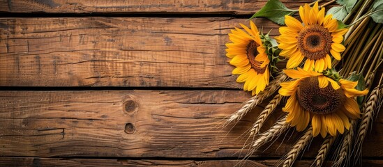 Poster - Sunflowers and wheat ears arranged on a rustic wooden backdrop with copy space image.