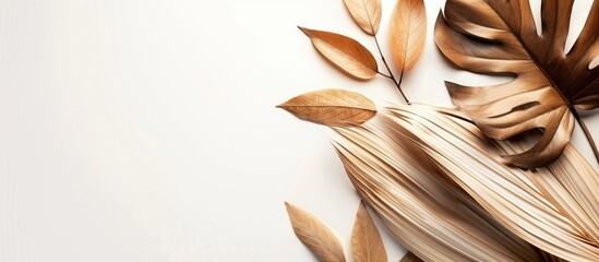 Aufkleber - Isolated on a white background, a composition featuring tropical dried leaves with copy space image.