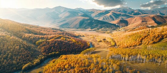 Poster - Aerial perspective of sunny fall mountains, capturing a scenic landscape with ample copy space image.