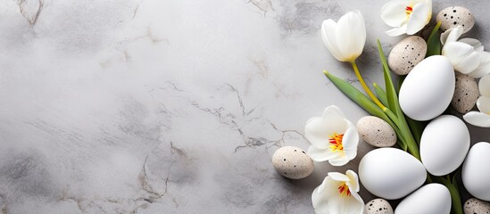 Aufkleber - Spring and Easter theme displayed with gorgeous white tulips, vibrant quail eggs nestled in a nest, all on a light gray stone backdrop providing copy space image.