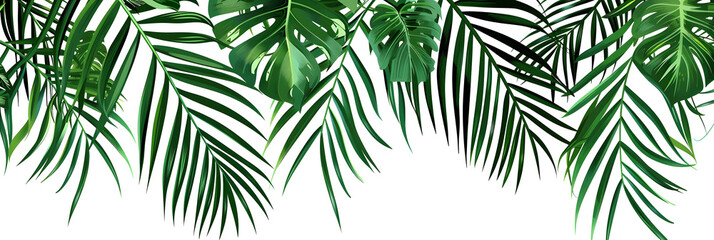  print outline of palm tree leaves