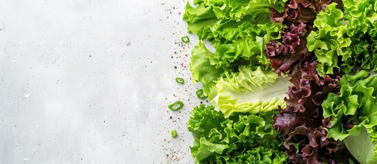 Sticker - Fresh lettuce salad leaves as a backdrop for a healthy food concept with a copy space image.