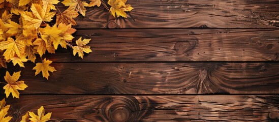 Leinwandbilder - Autumn scenery featuring yellow maple leaves against a vintage brown wooden backdrop with copy space image.