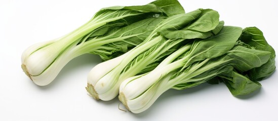 Poster - Vegetables like bok choy arranged elegantly with ample white space for text or other elements in the image, useful for various designs requiring a copy space image.