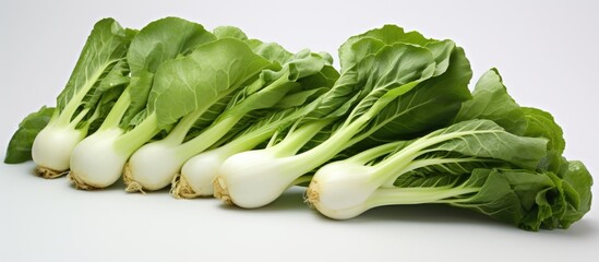 Poster - Vegetables like bok choy arranged elegantly with ample white space for text or other elements in the image, useful for various designs requiring a copy space image.