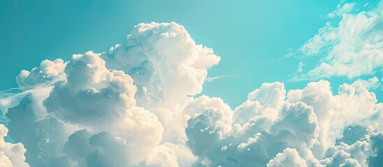 Poster - The expansive sky with fluffy, white clouds provides a serene backdrop in the copy space image.