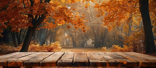 Sticker - Autumn forest backdrop with trees a backdrop to an empty wooden table for placing inscriptions or advertisements. Ideal for copy space image.