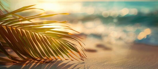 Poster - A palm leaf on a tropical beach, with blurred background of sunlight and waves, evokes a serene summer vacation or travel concept. Vintage filter adds charm to this copy space image.