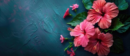 Aufkleber - A bunch of vibrant hibiscus blossoms on a dark backdrop, with ample copy space image and a banner.