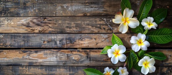 Aufkleber - Wood texture with Plumeria on a natural backdrop provides an ideal copy space image.