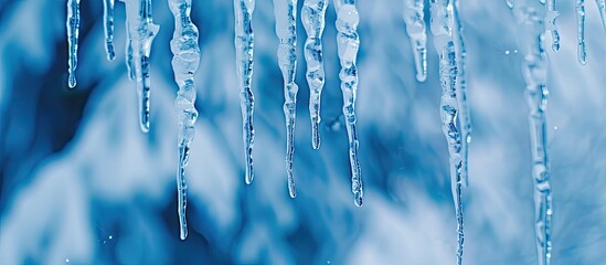 Poster - Icicles hang gracefully with a winter backdrop, perfect for a copy space image.