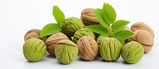Aufkleber - A detailed image showcases green immature walnuts with a blank space for adding text or graphics.