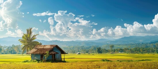 Sticker - Countryside hut amidst vast farmland with copy space image.