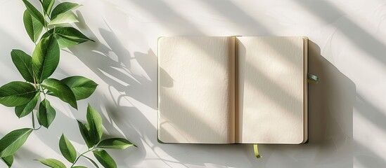 Poster - A minimalistic mockup featuring a notebook and a plant with green leaves, perfect for copy space images.