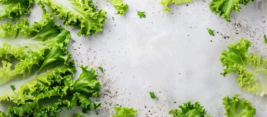 Poster - Fresh lettuce salad leaves as a backdrop for a healthy food concept with a copy space image.