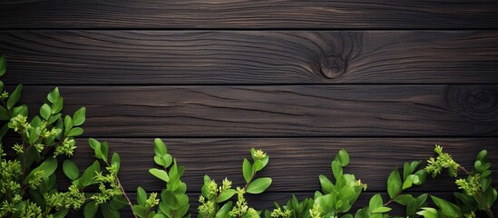 Canvas Print - Top view of spring branches with small green leaves on a dark wooden background, creating a visually appealing copy space image.