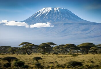 Poster - A view of Mount Kilimanjaro in Tanzania