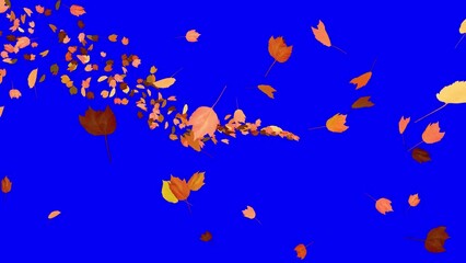 Wall Mural - Colorful Autumn Leaves - Windy Flying Spurt - 4 - Blue Screen - Realistic 3D Transition animation with alpha channel on chroma key background