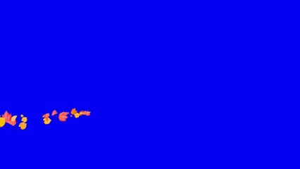 Wall Mural - Colorful Autumn Leaves - Windy Flying Spurt - 7 - Blue Screen - Realistic 3D Transition animation with alpha channel on chroma key background