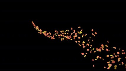 Wall Mural - Colorful Autumn Leaves - Windy Flying Spurt - 1 - Alpha Channel - Realistic 3D Transition animation with alpha channel on transparent background