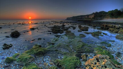 Wall Mural -   The sun is setting over the ocean with mossy rocks in the foreground
