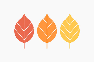 Wall Mural - autumn leaves colors. vector illustration.