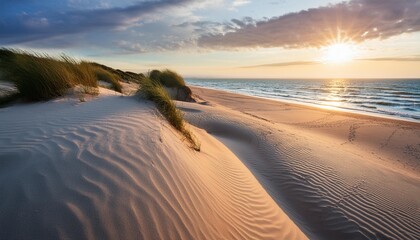 Wall Mural - sand dunes on the beach at sunset