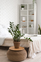 Poster - Interior of light bedroom with houseplant and laptop on white bed