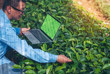 Wall Mural - Smart farmer using laptop in eco green farm sustainable quality control. Close up Hand typing laptop computer quality control plant tree. Farmer hands using technology in eco Farmland biotechnology