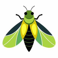 Wall Mural - a cute Cicada vector artwork illustration