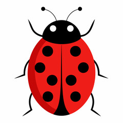 Wall Mural -  a cute ladybug vector illustration and svg