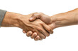 © Rasheeda - men's handshake isolated on transparent background