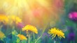 © Witri - Dandelion in the Meadow with Golden Sunlight